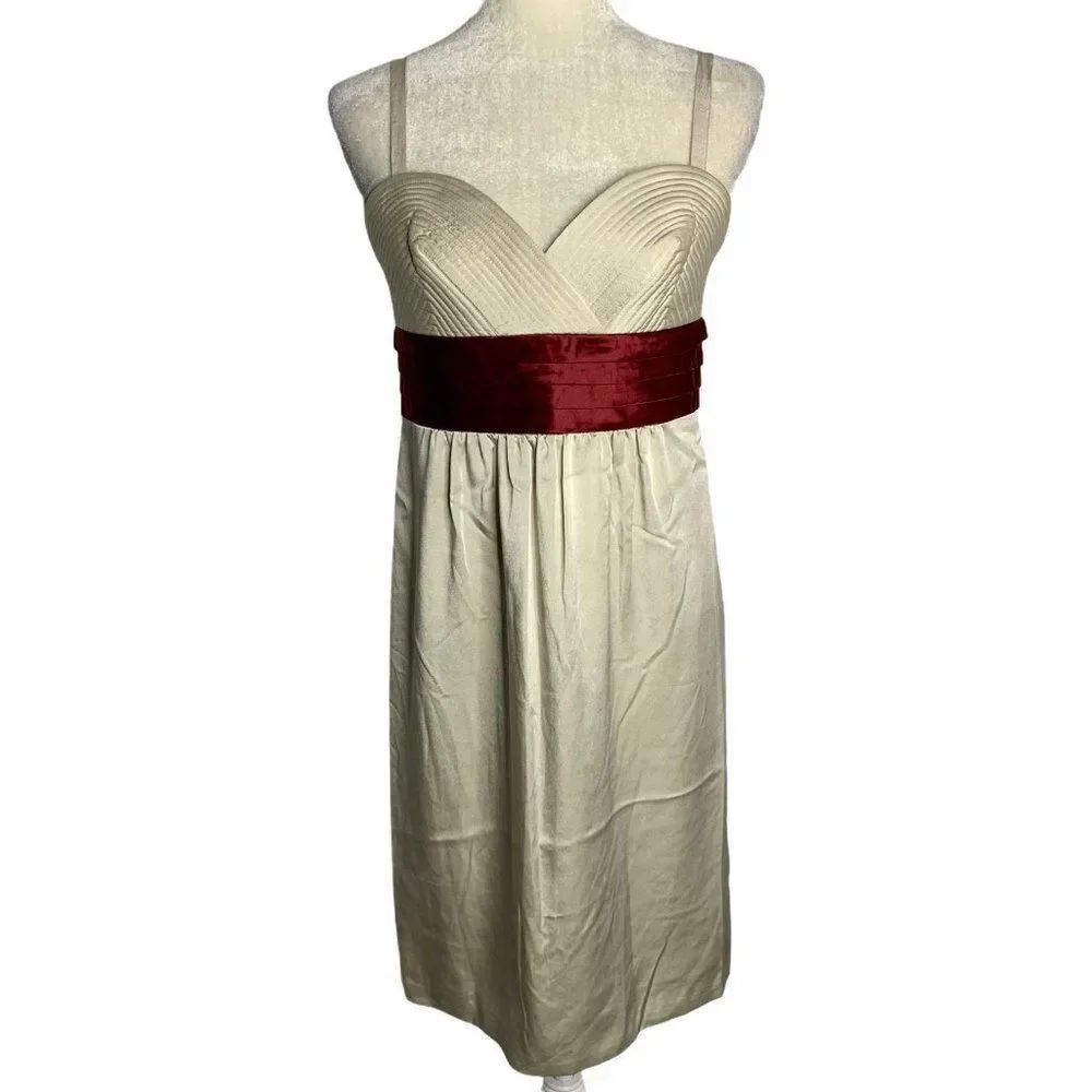 BCBG Silk Blend Sweetheart Mini Dress M Beige
